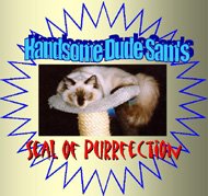 Handsome Dude Sams Seal of Purrfection