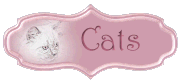 Ragdoll Cats