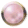 Ragdolls are Pearls